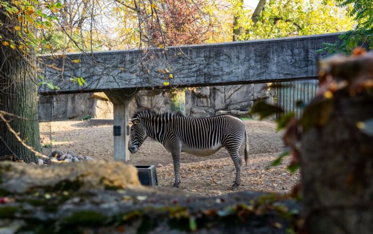 Berlin Zoo