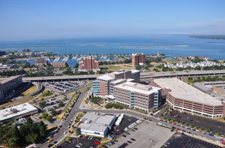 Buffalo