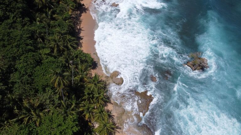 Corcovado National Park