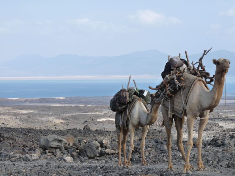 Djibouti