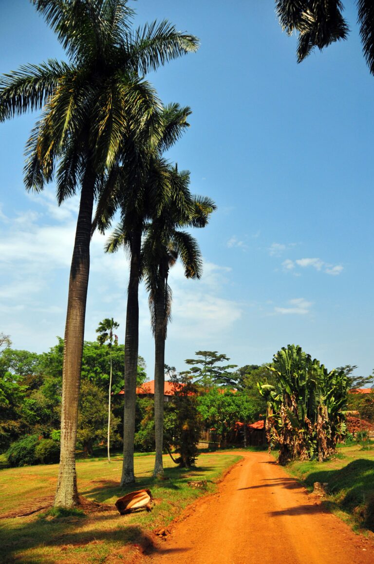 Entebbe