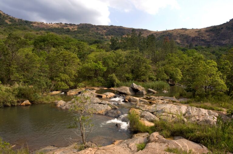 Manzini
