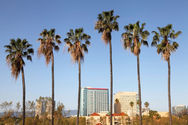 San Jose