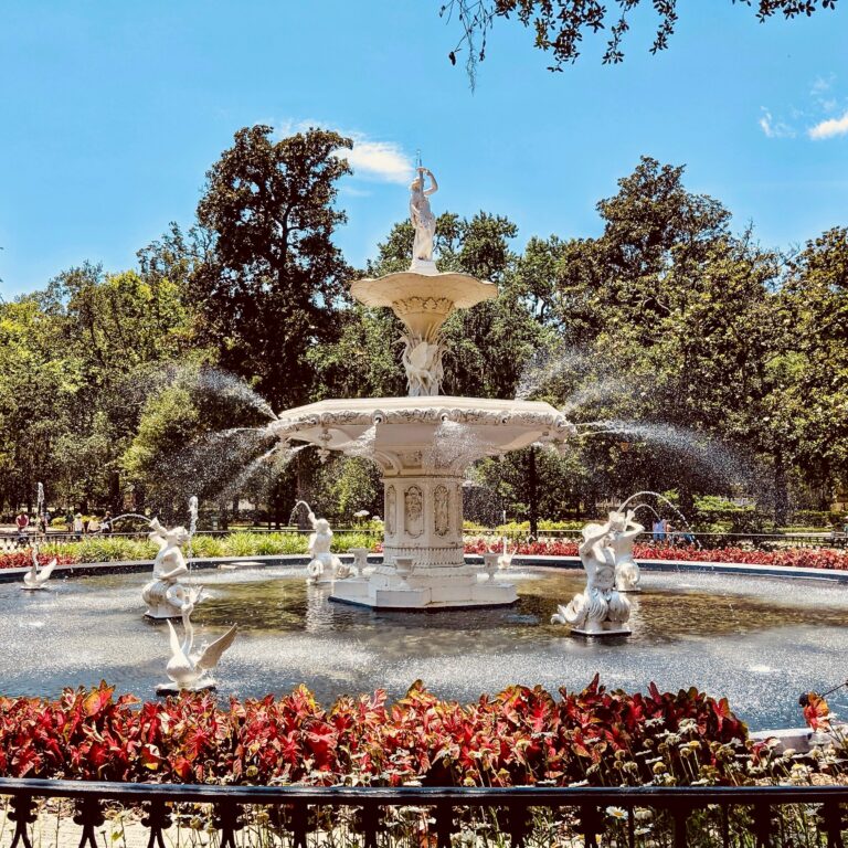 Savannah