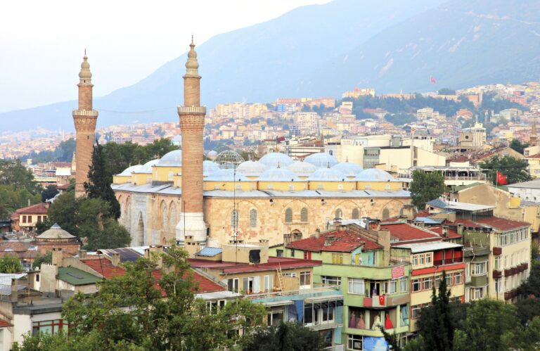 Bursa