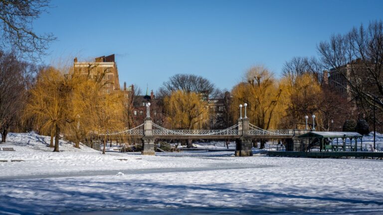 Boston Common