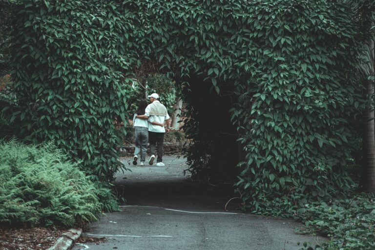 Brisbane Botanic Gardens
