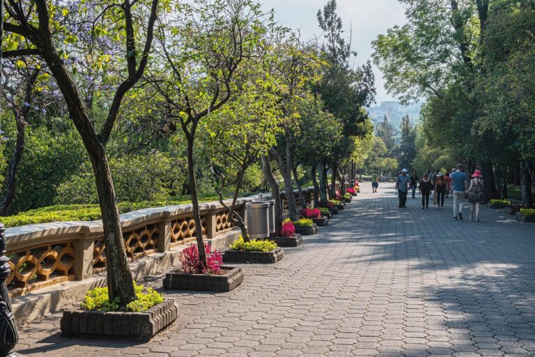 Chapultepec Park