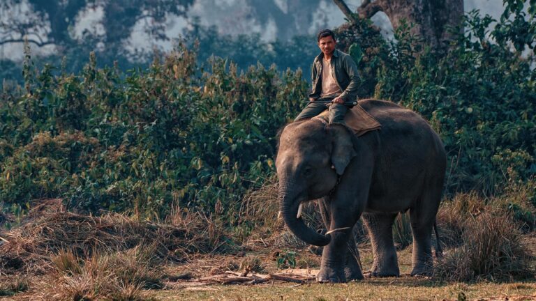Chitwan National Park