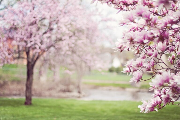 Dallas Arboretum and Botanical Garden