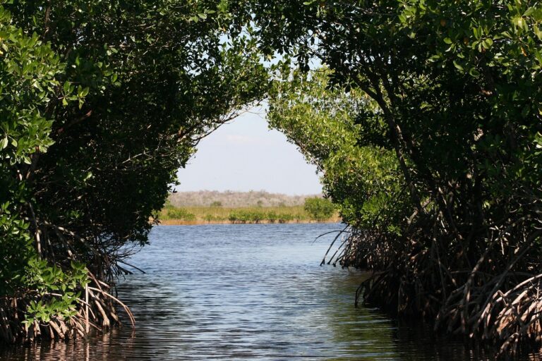 Everglades National Park