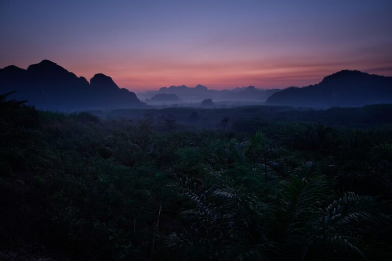 Khao Sok National Park