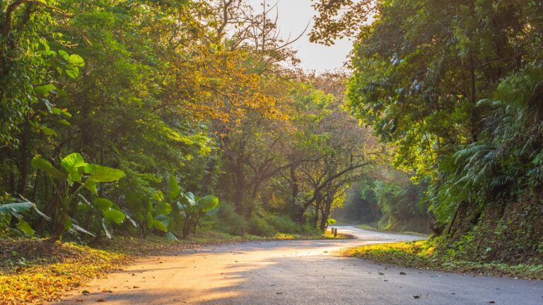 Khao Yai National Park