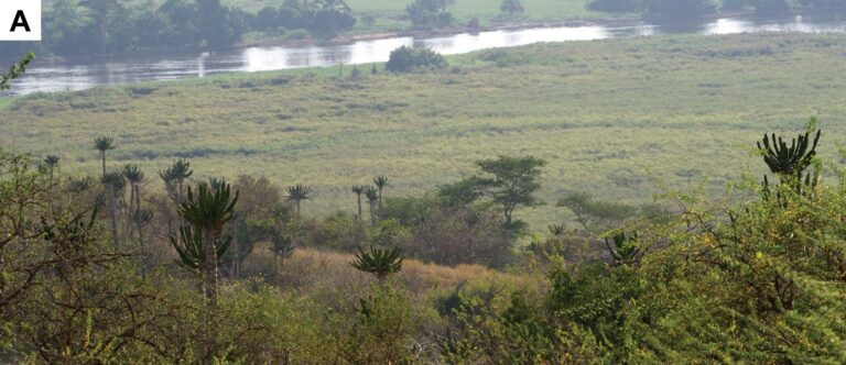 Kissama National Park