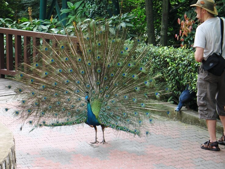 KL Bird Park
