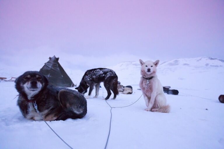 Longyearbyen