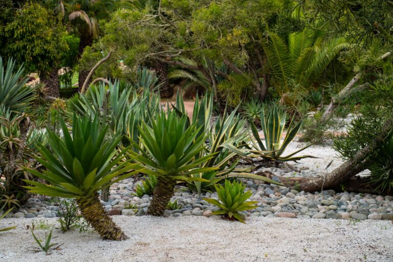Majorelle Garden