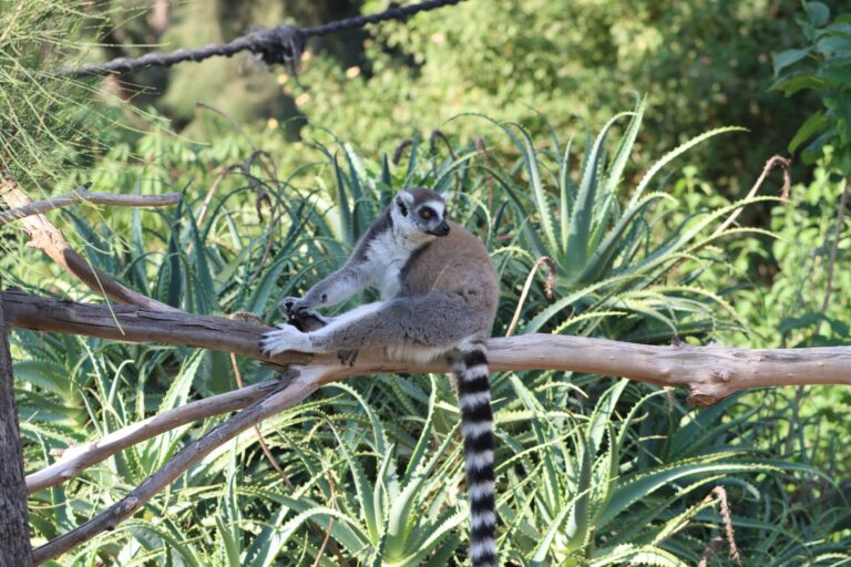 Masoala National Park