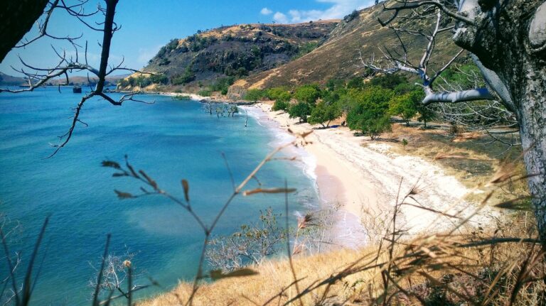 Maumere