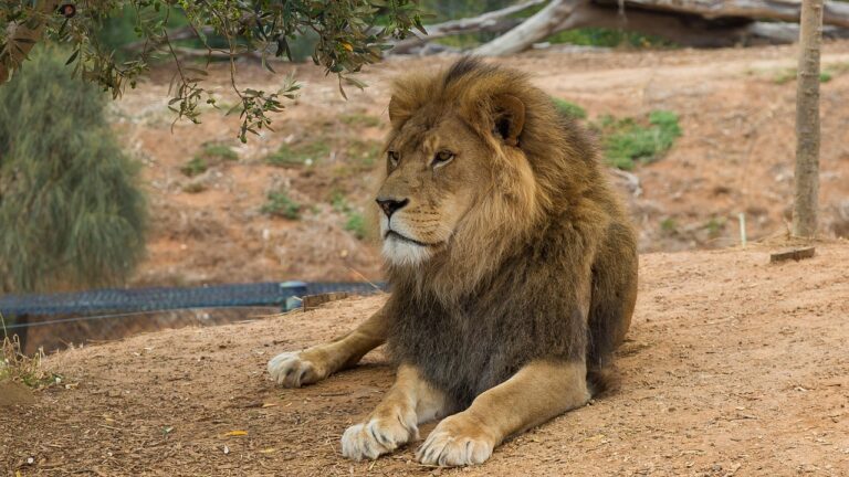 Melbourne Zoo