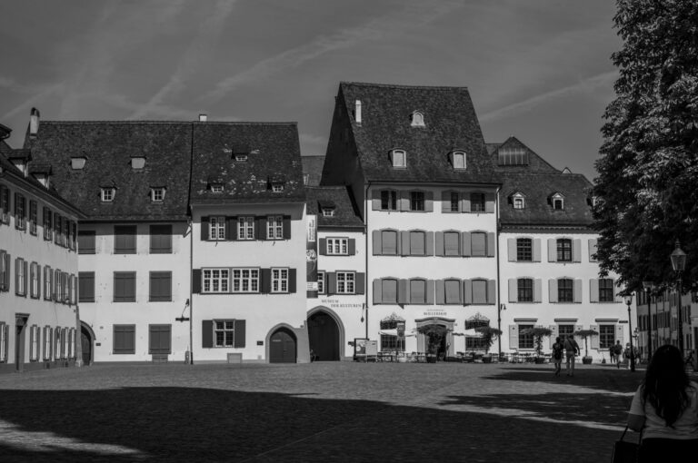 Museum of Art and History