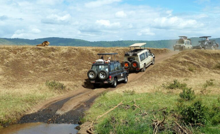 Ngorongoro Crater