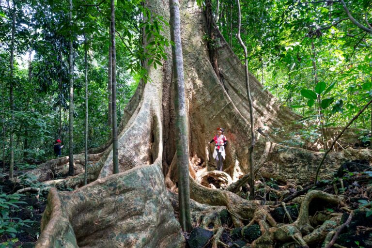 Obo National Park