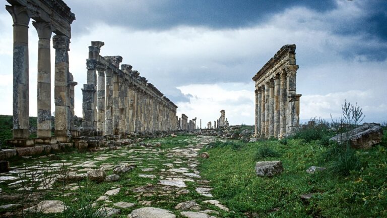 Palmyra