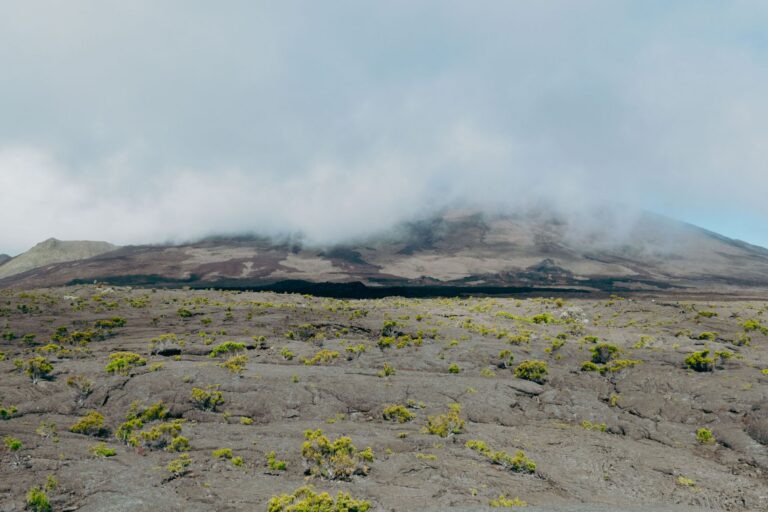 Piton de la Fournaise