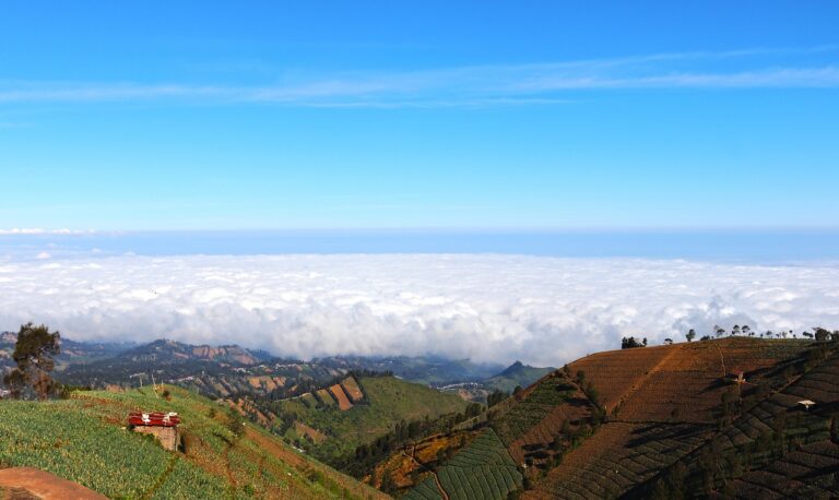 Puncak Jaya