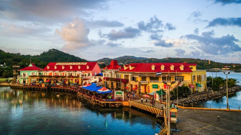 Roatan Institute for Marine Sciences