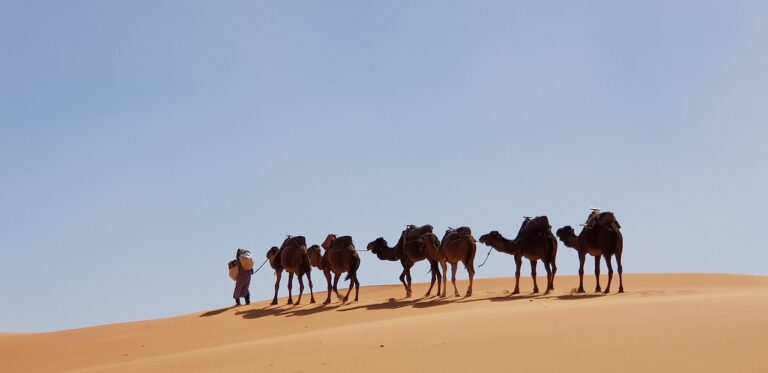 Sahara Desert