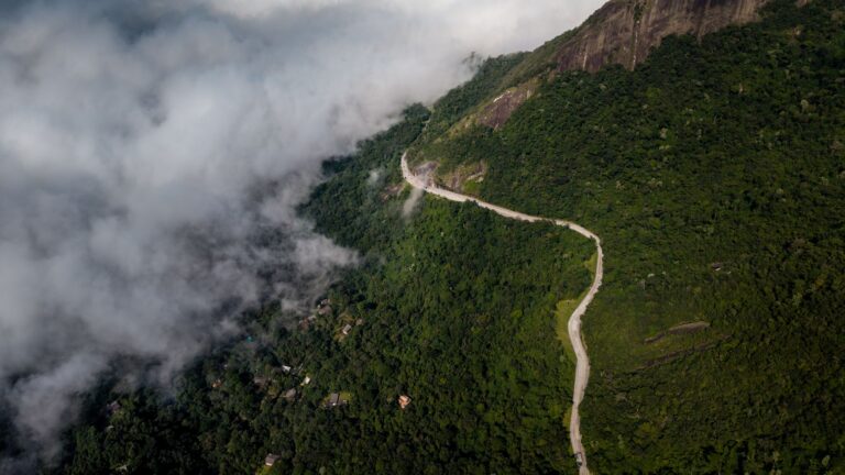 Tijuca National Park