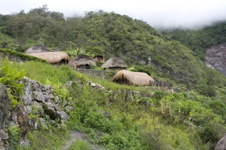 Goroka