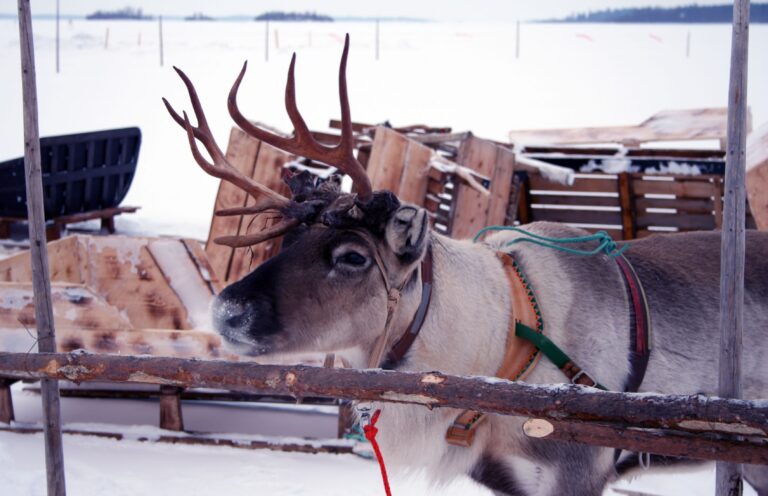 Kemi/Tornio