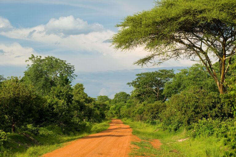Kindu