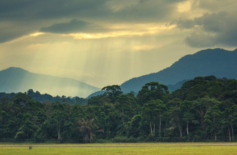 La Ceiba