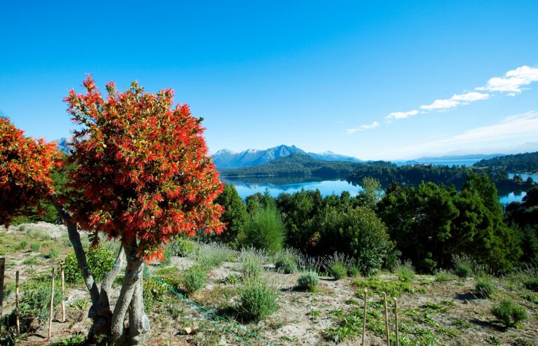 San Rafael