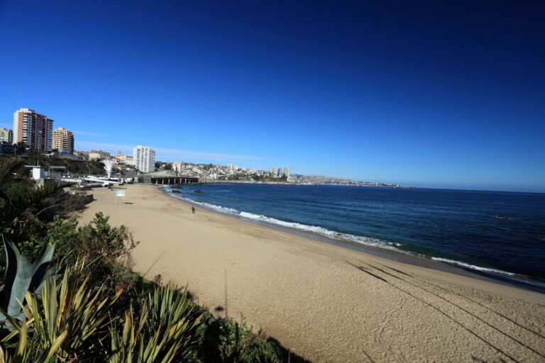 Vina del Mar