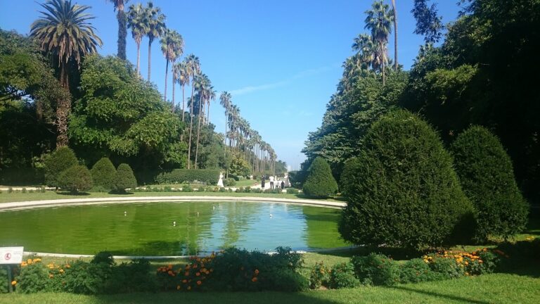 Algiers Botanical Garden