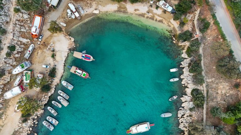 Anthony Quinn Bay