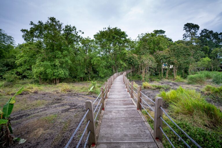 Bako National Park