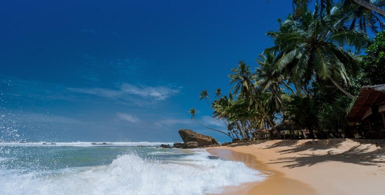 Coconut Island