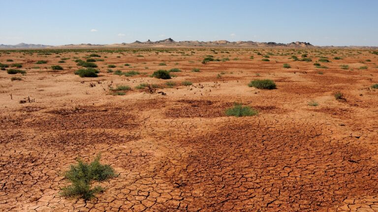 Gobi Desert