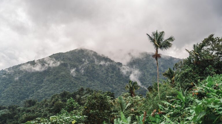 Guadeloupe National Park