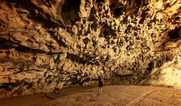 Harrison's Cave