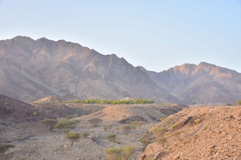 Hatta