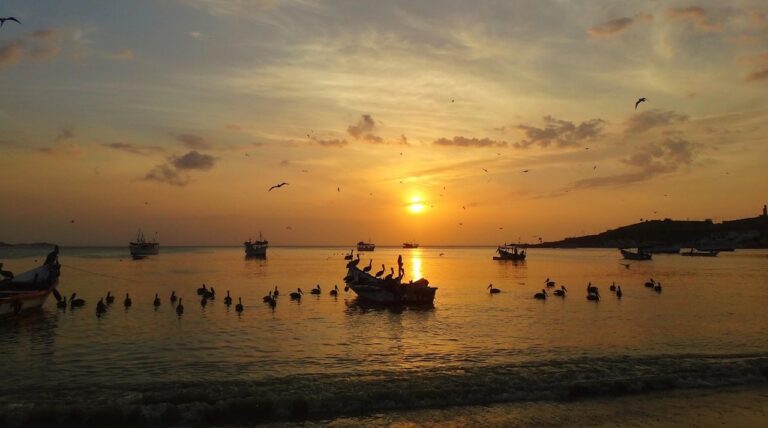 Isla de Margarita