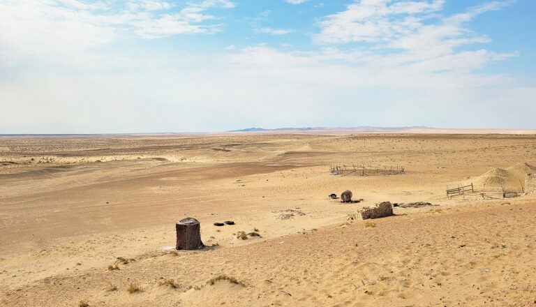 Kyzylkum Desert