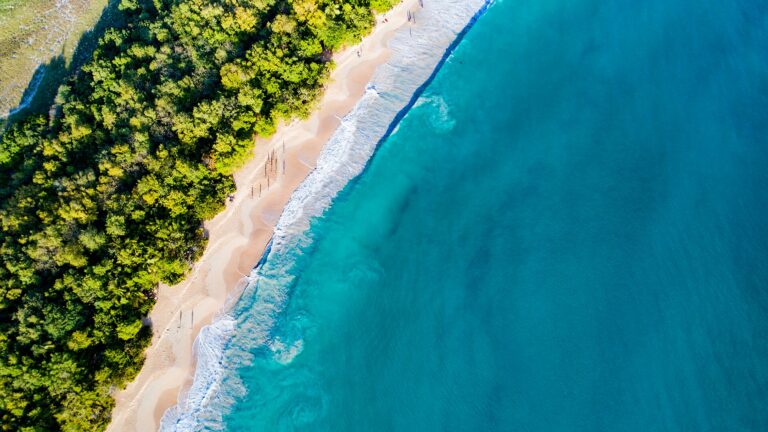 Les Salines Beach